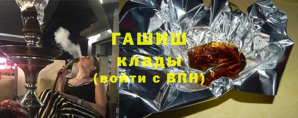 индика Ладушкин