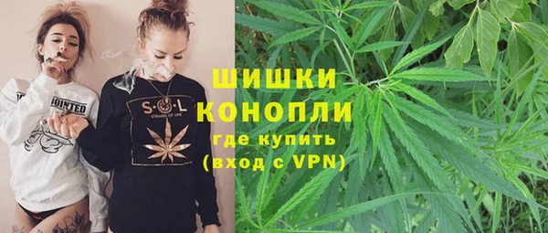 прущие крисы Аркадак