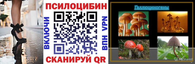 omg   Куртамыш  Псилоцибиновые грибы мухоморы 