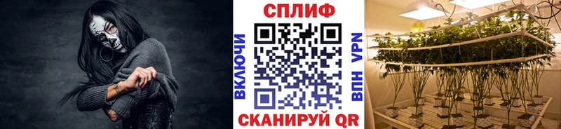 МАРИХУАНА сатива  закладка  Куртамыш 